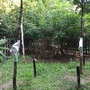 QT-2010 植物生理生態監測系統