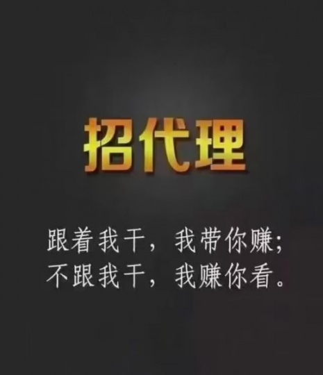 火爆2024年的，互聯網項目資源商城， 項目整合資源總站