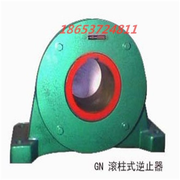 滾柱式逆止器 減速機(jī)輸送機(jī)配件 源頭廠家直供